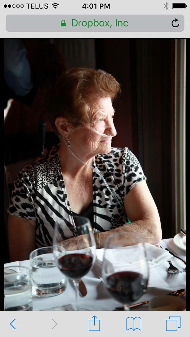 Photo 10 of Teresa (Loria) Schipani